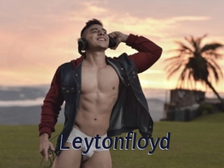 Leytonfloyd