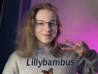 Lillybambus