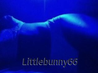 Littlebunny66