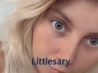 Littlesary