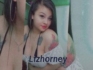 Lizhorney