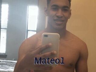 Mateo1