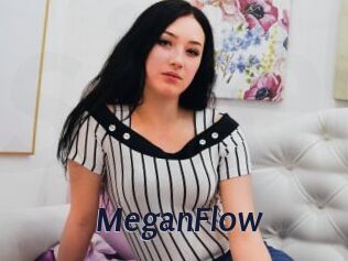 MeganFlow