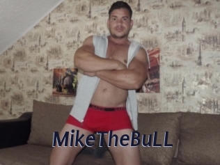 MikeTheBuLL