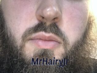 MrHairyJr