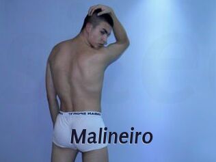 Malineiro