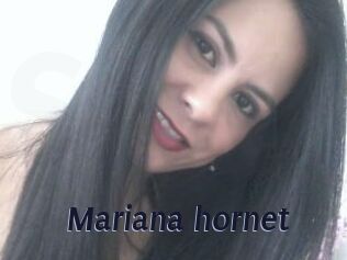 Mariana_hornet