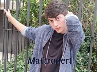 Mattrobert