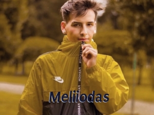 Meliiodas