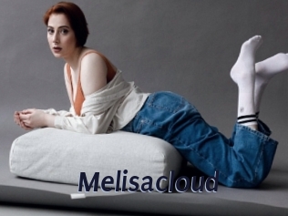 Melisacloud