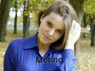 Merino