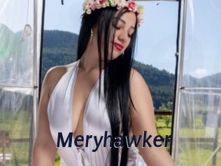 Meryhawker