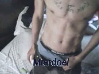 Mierdoel