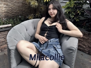 Milacollie