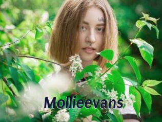 Mollieevans