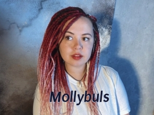 Mollybuls