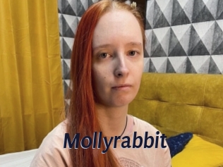 Mollyrabbit