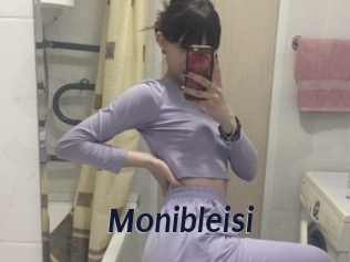 Monibleisi