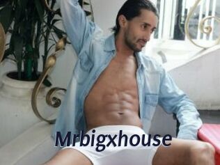 Mrbigxhouse