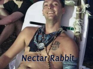 Nectar_Rabbit