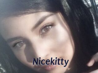 Nicekitty