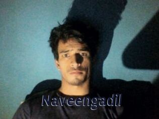 Naveengadil