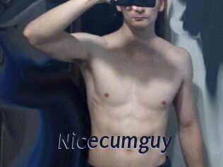 Nicecumguy