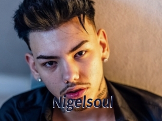 Nigelsoul