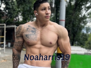 Noaharris19