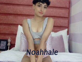 Noahhale