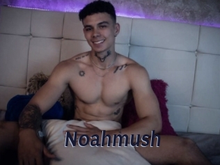 Noahmush