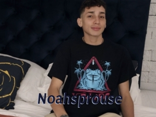 Noahsprouse