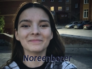 Noreenborer