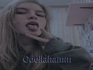 Odellahamm
