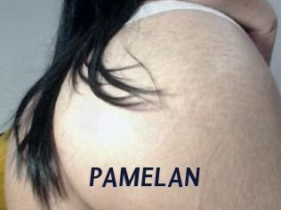 PAMELA_N