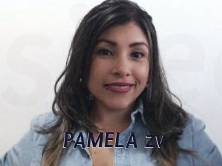 PAMELA_zv