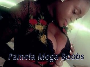 Pamela_Mega_Boobs