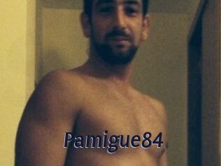 Pamigue84