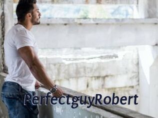 PerfectguyRobert