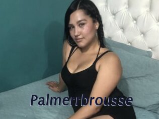 Palmerrbrousse