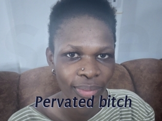 Pervated_bitch