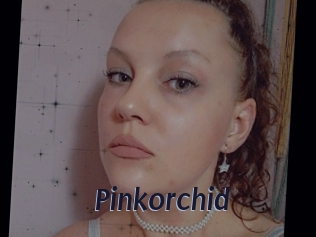 Pinkorchid