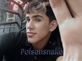 Poisonsnake