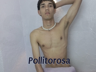 Pollitorosa