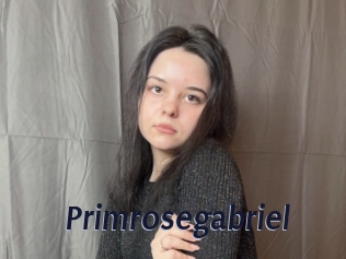 Primrosegabriel