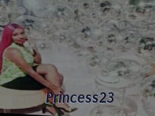 Princess23