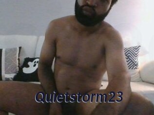 Quietstorm23