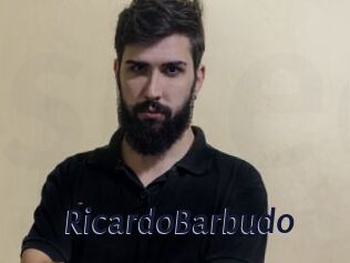 RicardoBarbudo