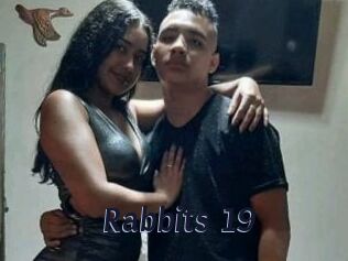 Rabbits_19