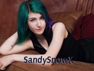 SandySnowX